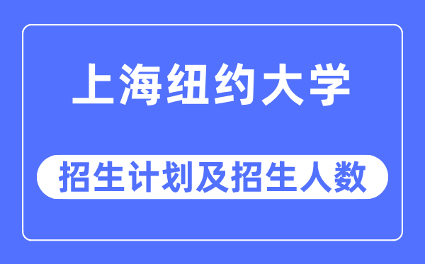 2023年上海纽约大学各省招生计划及各专业招生人数是多少