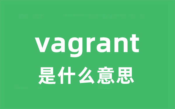 vagrant是什么意思