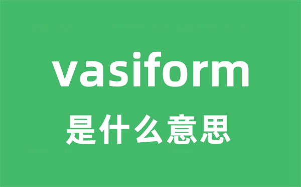 vasiform是什么意思