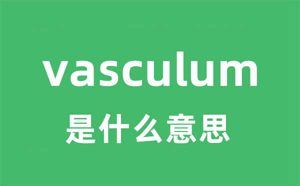 vasculum是什么意思