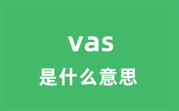 vas是什么意思