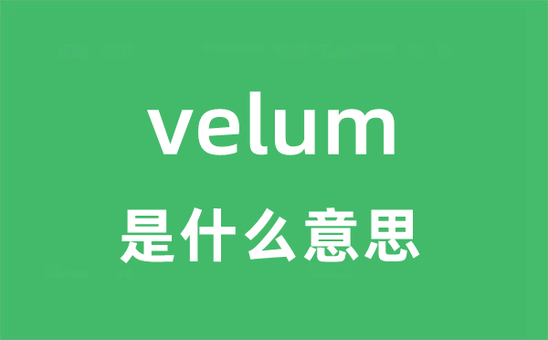 velum是什么意思