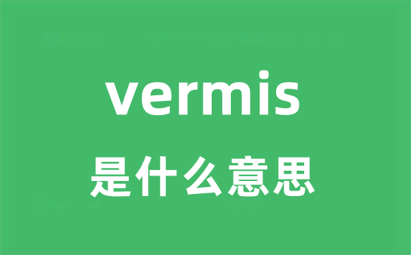 vermis是什么意思