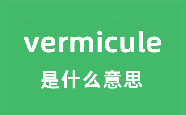 vermicule是什么意思