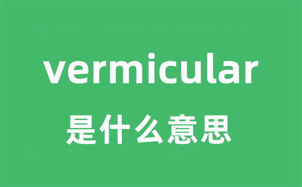 vermicular是什么意思