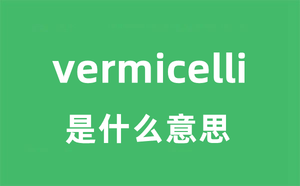 vermicelli是什么意思