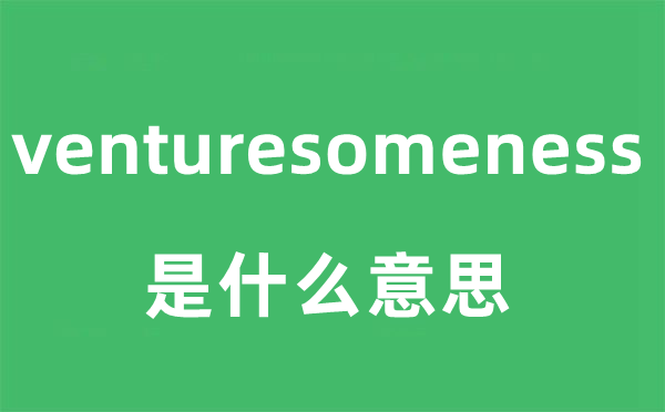 venturesomeness是什么意思