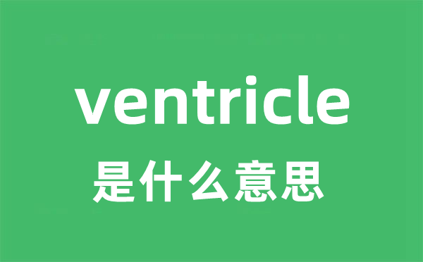 ventricle是什么意思