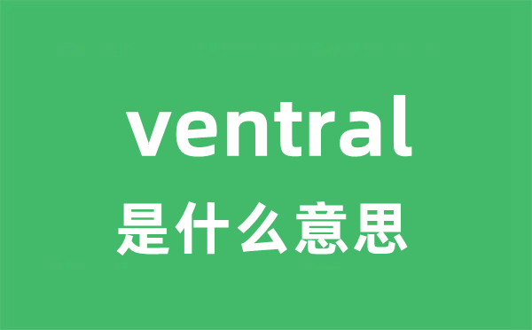 ventral是什么意思