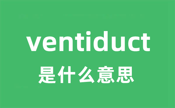 ventiduct是什么意思