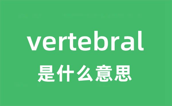 vertebral是什么意思