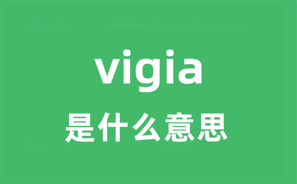 vigia是什么意思