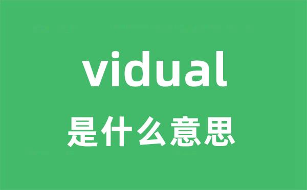 vidual是什么意思