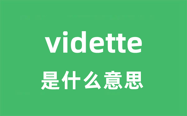 vidette是什么意思