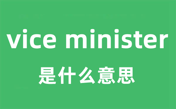 vice minister是什么意思