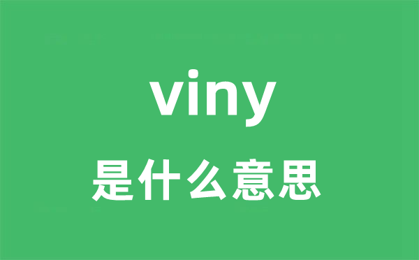 viny是什么意思