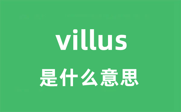 villus是什么意思