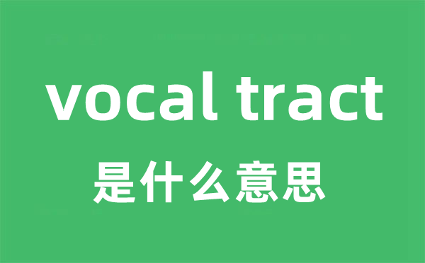 vocal tract是什么意思