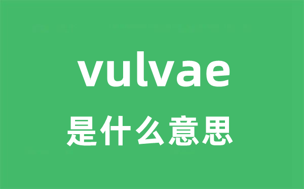 vulvae是什么意思