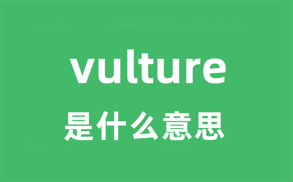 vulture是什么意思