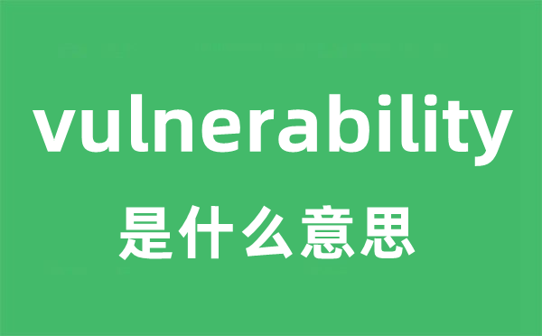 vulnerability是什么意思