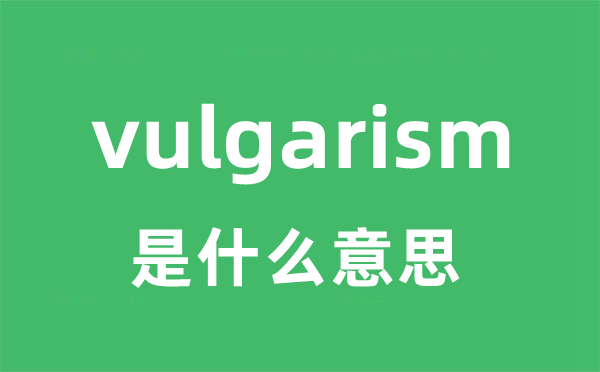 vulgarism是什么意思