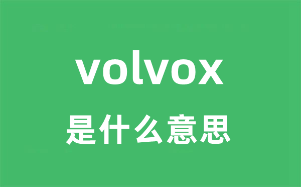 volvox是什么意思