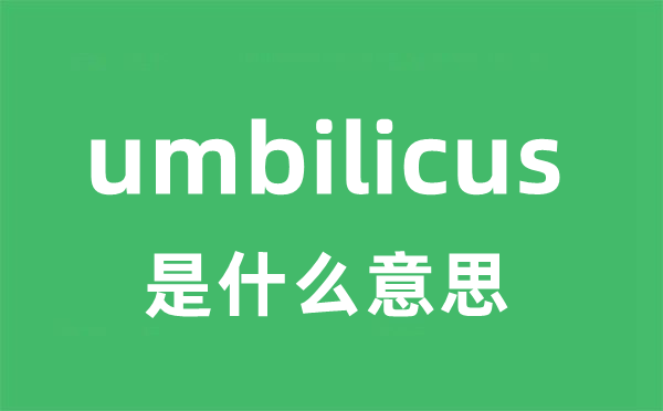 umbilicus是什么意思