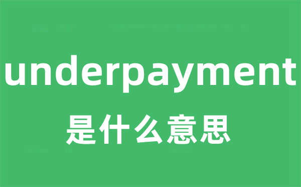 underpayment是什么意思