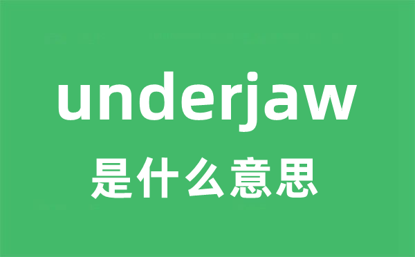 underjaw是什么意思