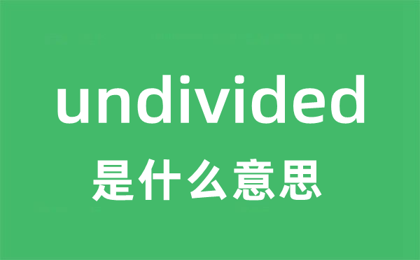 undivided是什么意思