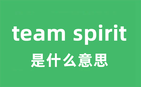 team spirit是什么意思