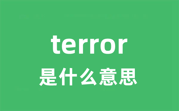 terror是什么意思