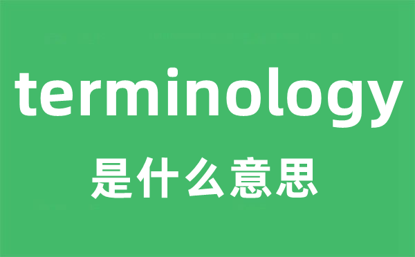 terminology是什么意思