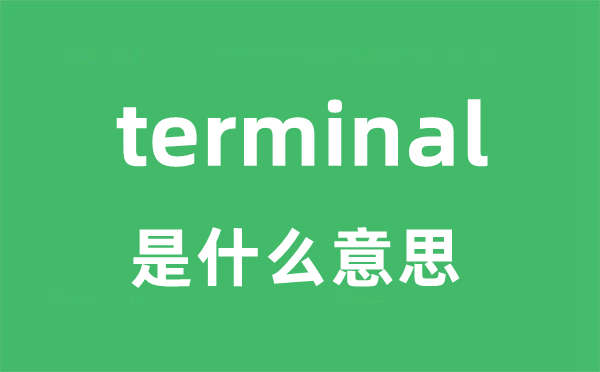 terminal是什么意思