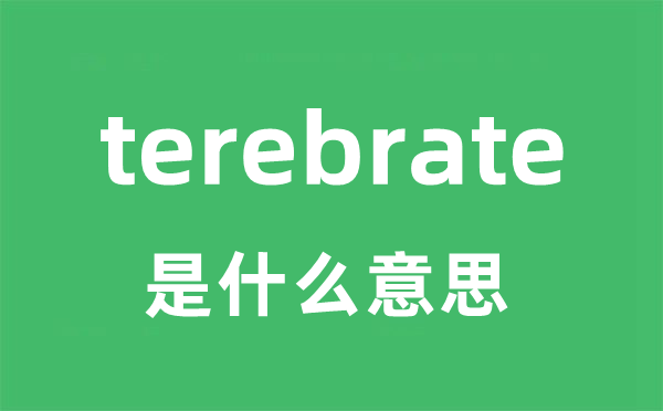 terebrate是什么意思