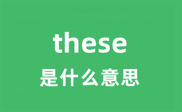 these是什么意思