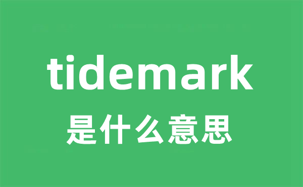 tidemark是什么意思