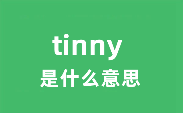 tinny是什么意思