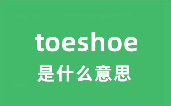 toeshoe是什么意思