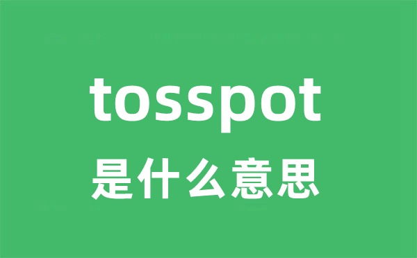 tosspot是什么意思