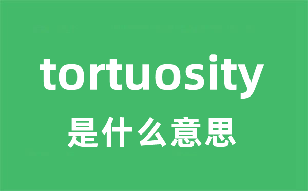 tortuosity是什么意思