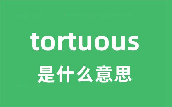 tortuous是什么意思