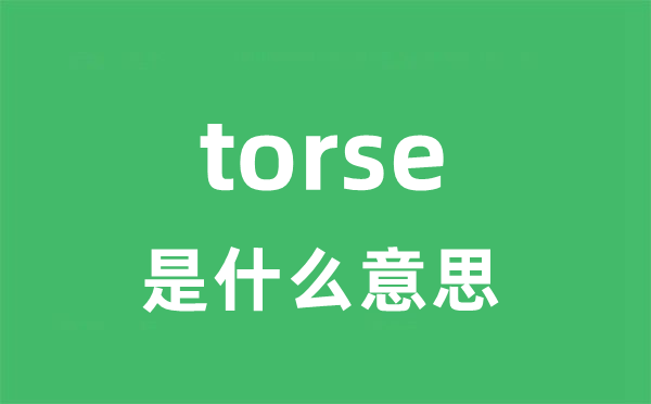 torse是什么意思