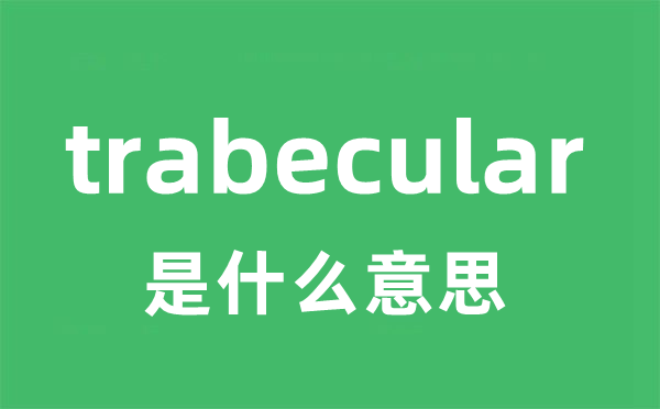 trabecular是什么意思