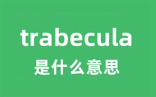 trabecula是什么意思