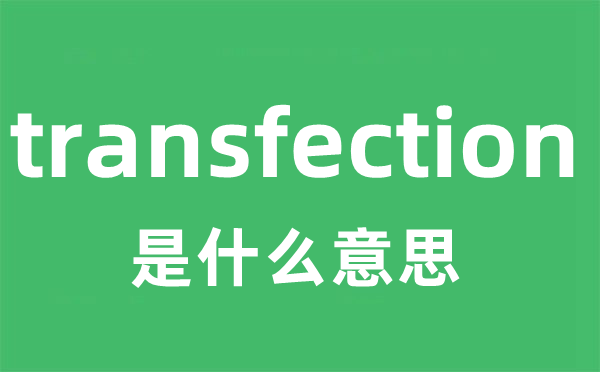 transfection是什么意思