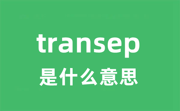 transept是什么意思