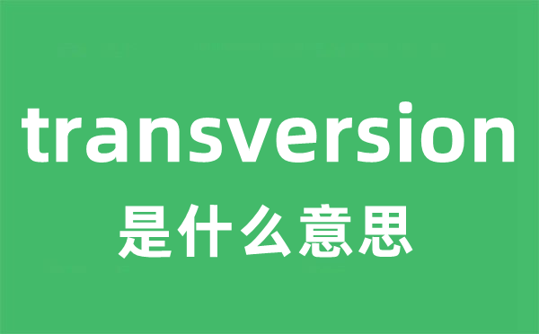 transversion是什么意思