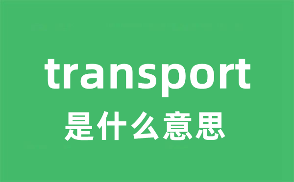 transport是什么意思